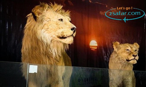 2safar