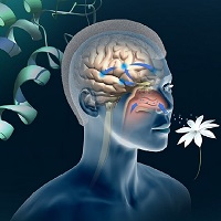 عوارض کرونا را چگونه بعد از بهبودی کاهش دهیم