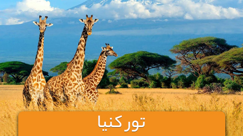 تور آفریقای جنوبی (کنیا)