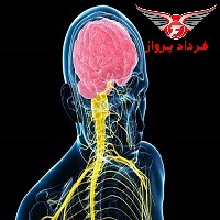 سیستم عصبی در برابر کرونا ویروس