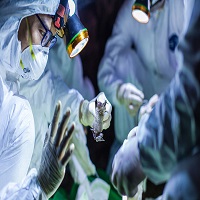 چگونه coronavirus آغاز شد