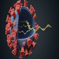 گونه جدید ویروس کرونا به آمریکا رسید