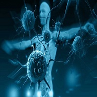 تاثیر آلودگی هوا بر سیستم ایمنی بدن