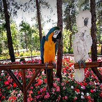 تعطیلی باغ پرندگان به خاطر جلوگیری از شیوع کرونا