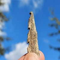 سلاح های جنگی از جنس استخوان