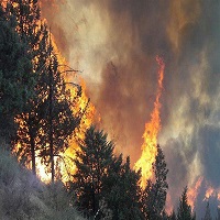 آتش سوزی منابع طبیعی گیلان